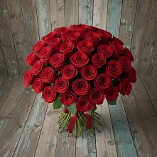 Букет 55 Красных роз Фридом #REPLACE_PRED# Бердюжье