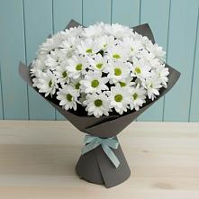 Букет цветов из:  Хризантемы в Бердюжье