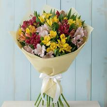 Букет цветов из:  Альстромерии в Бердюжье