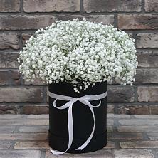 Цветочная композиция из Гипсофила в шляпной коробке в Бердюжье